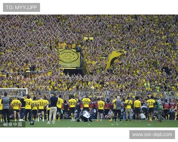 德甲上半程进球创新高，球迷回归助推赛场氛围